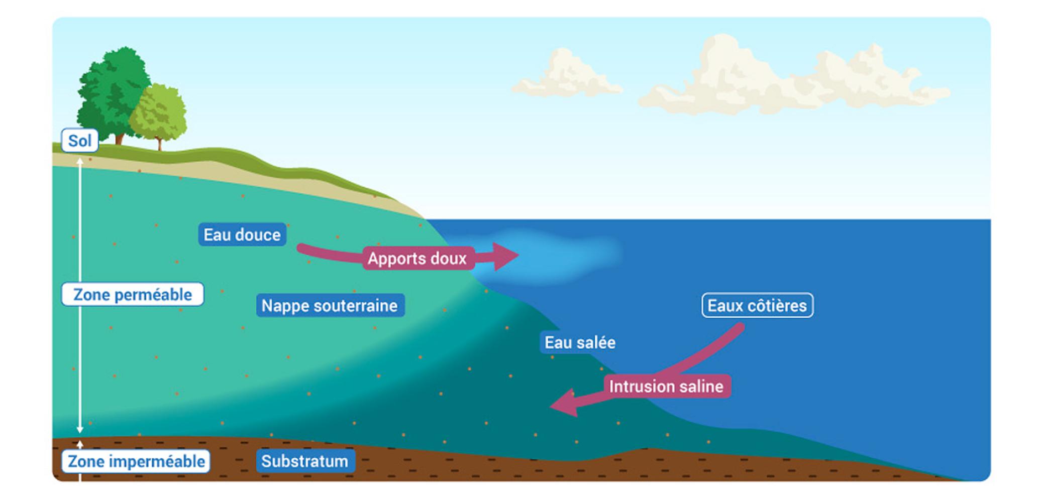 Des échanges entre les eaux souterraines et les eaux côtières