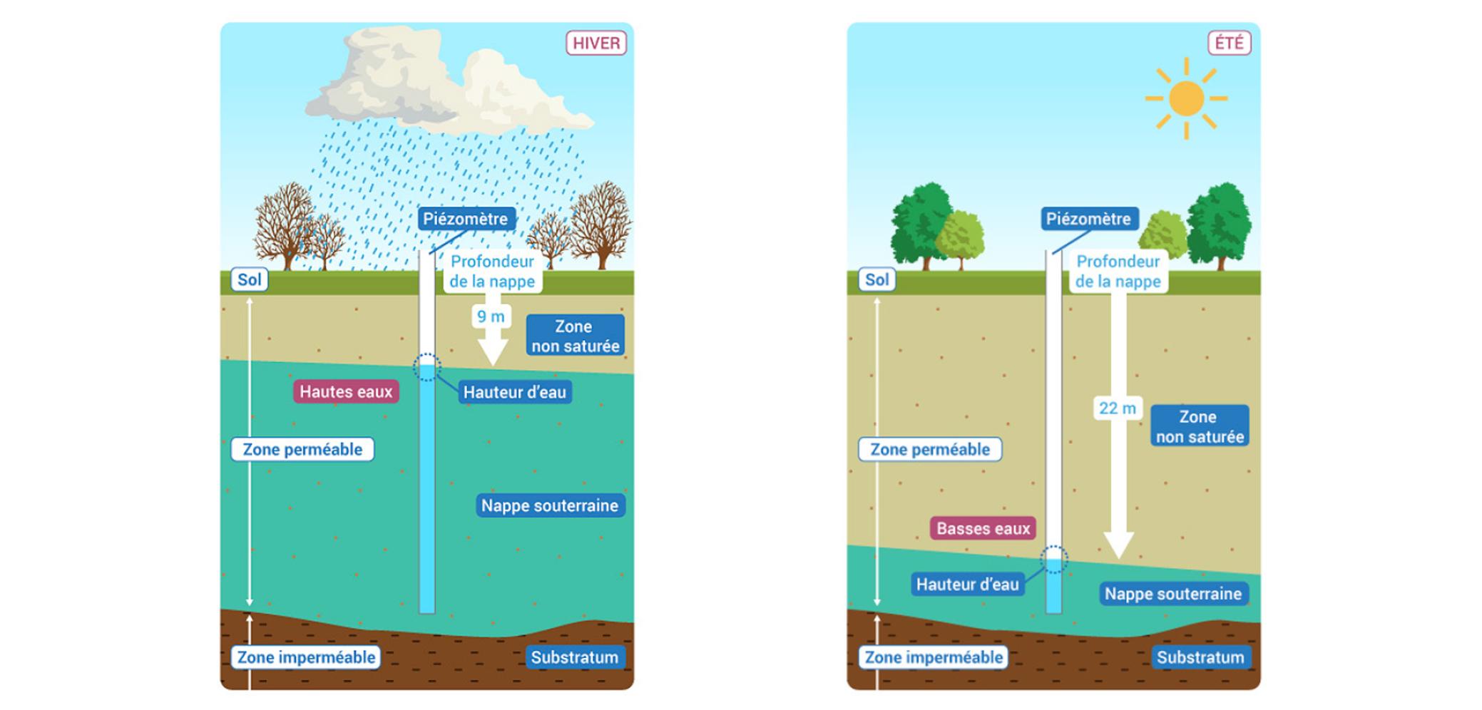 Les variations saisonnières de la profondeur des nappes souterraines