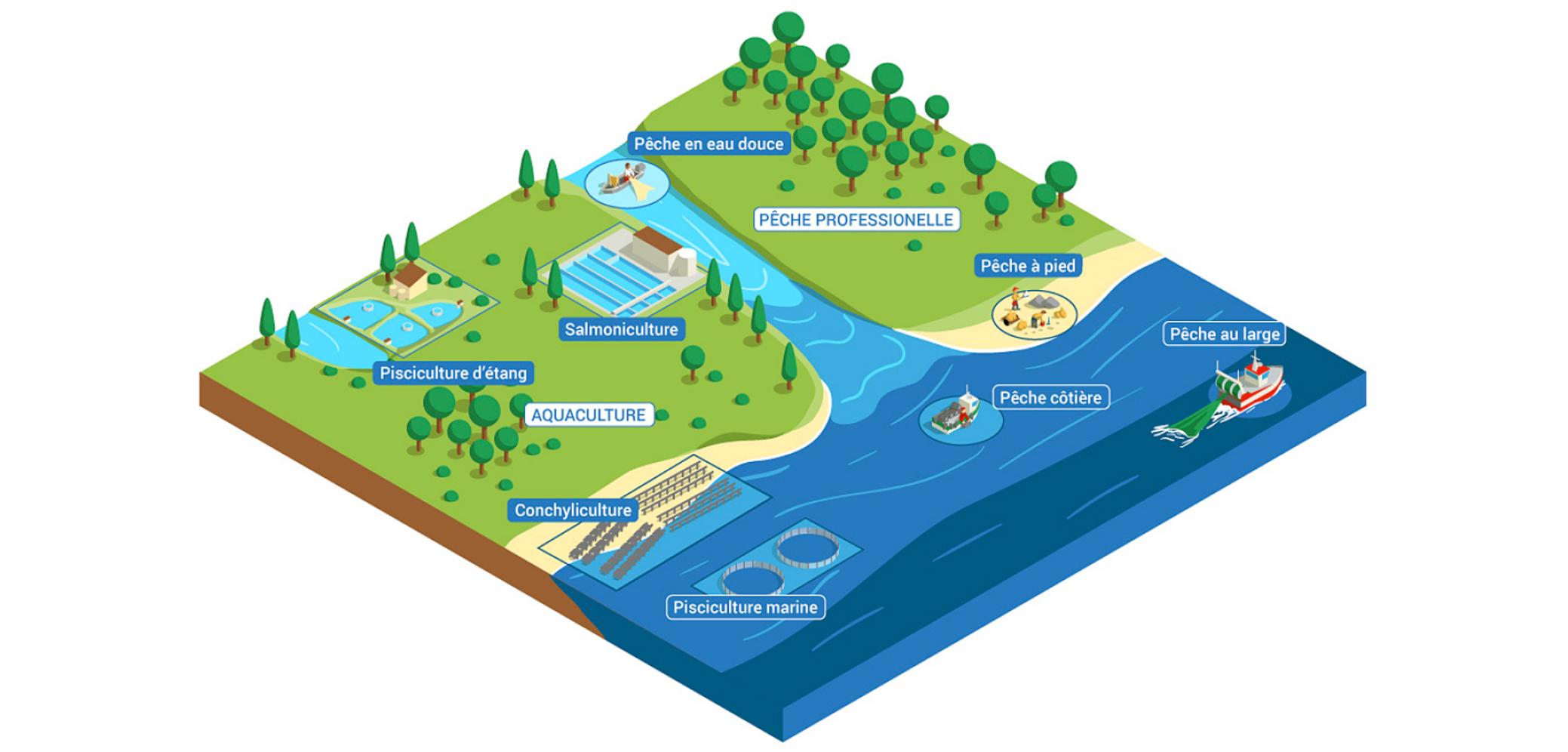 Les usages des milieux aquatiques pour la pêche professionnelle et l’aquaculture