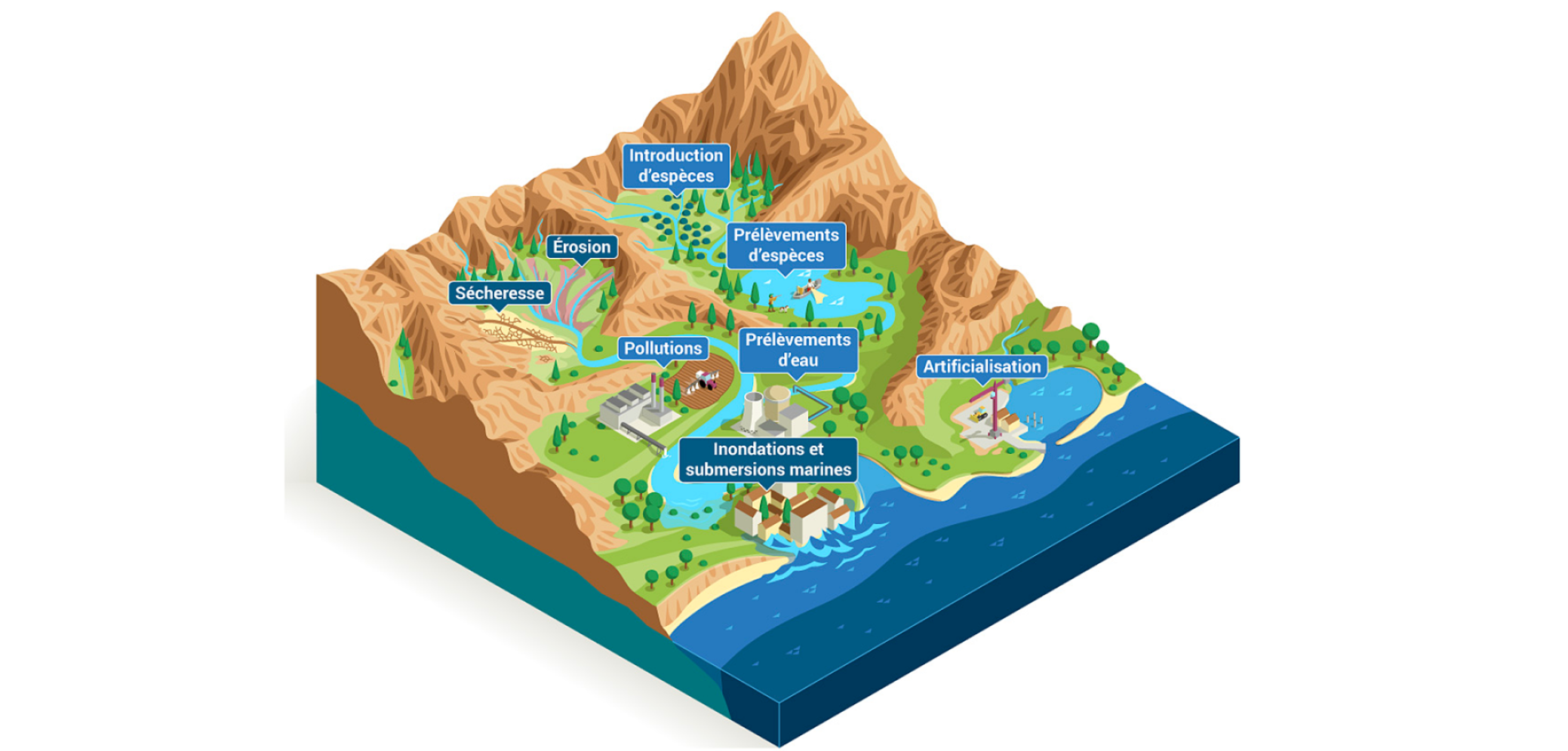 Les pressions sur les milieux aquatiques et les risques naturels liés à l’eau Les pressions sur les milieux aquatiques et les risques naturels liés à l’eau