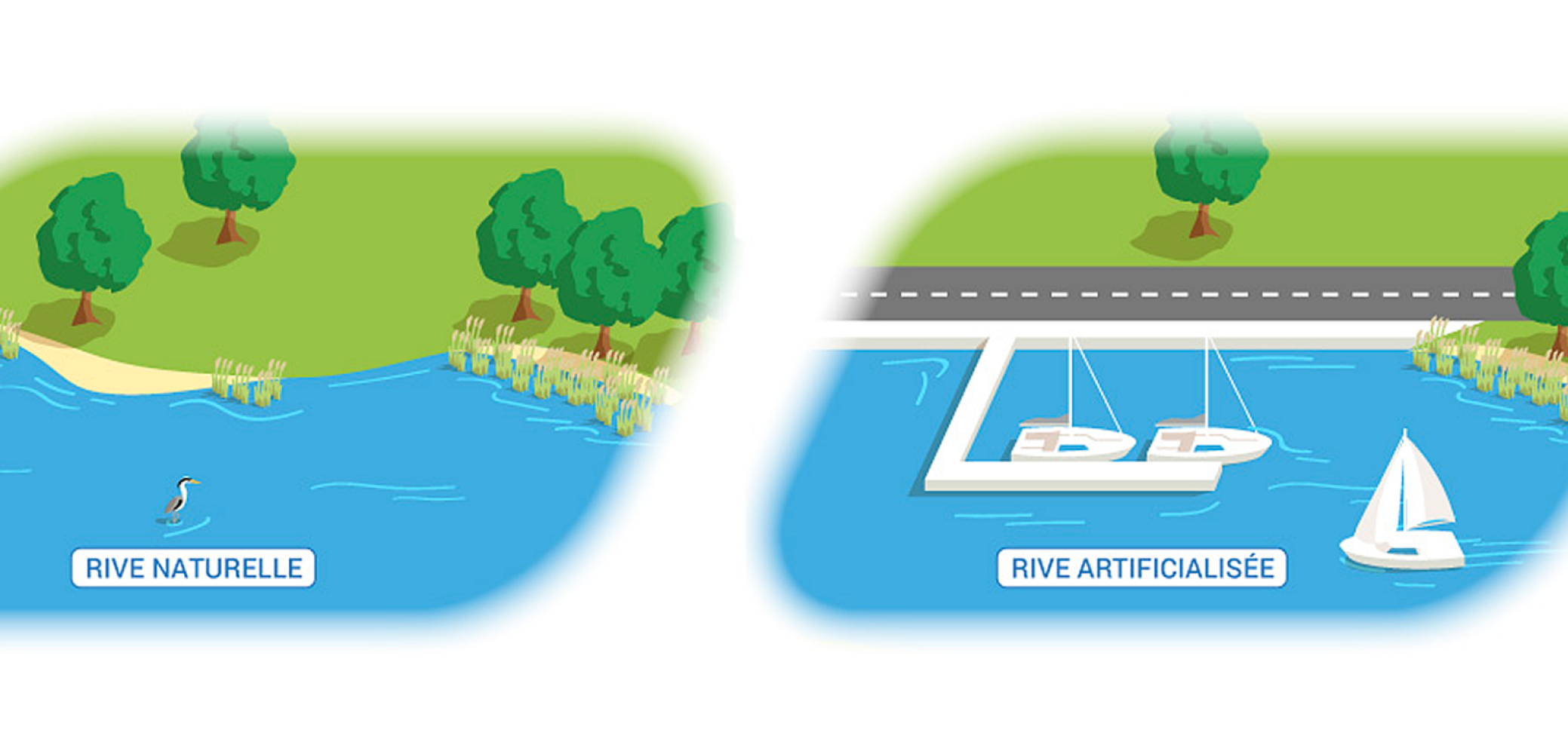 Un exemple d’artificialisation : création d’un port sur la rive d’un lac Un exemple d’artificialisation : création d’un port sur la rive d’un lac