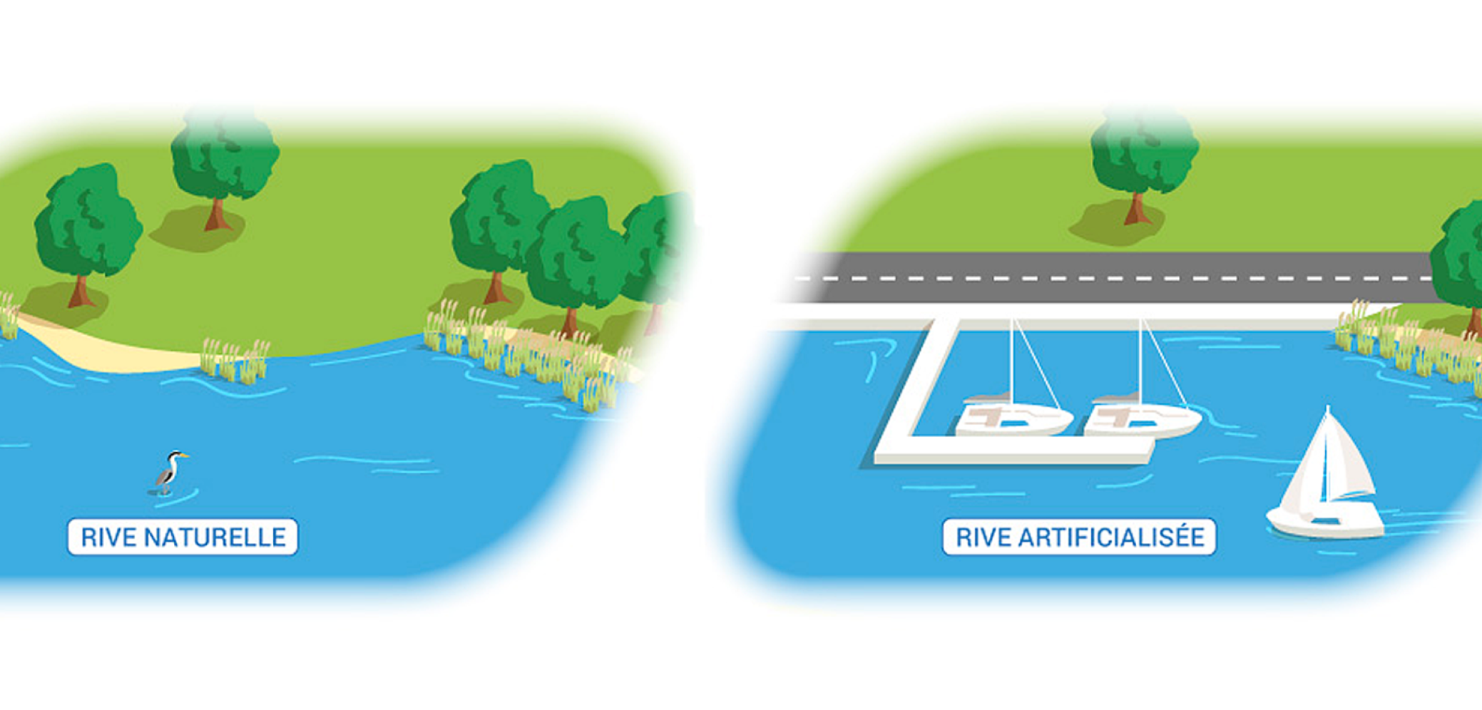 Un exemple d’artificialisation : création d’un port sur la rive d’un lac