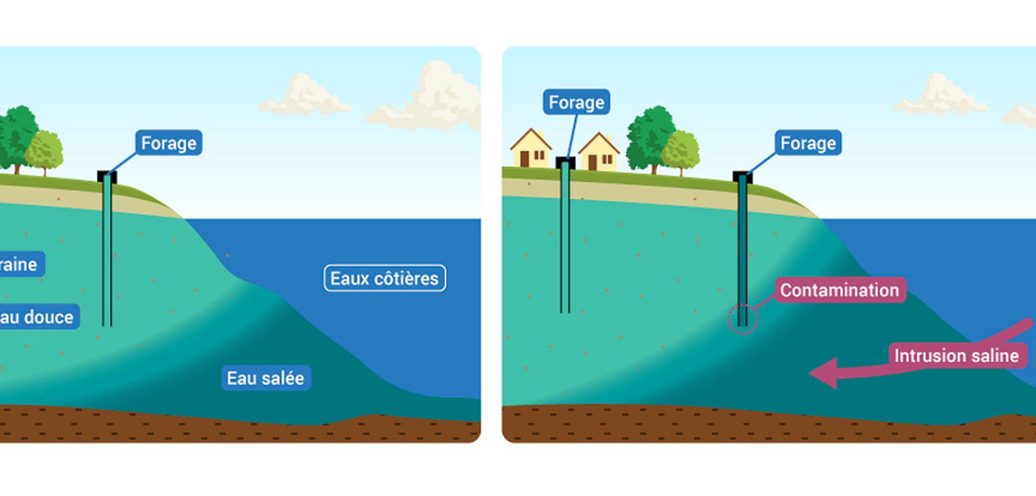 Des intrusions salines sur le littoral Des intrusions salines sur le littoral