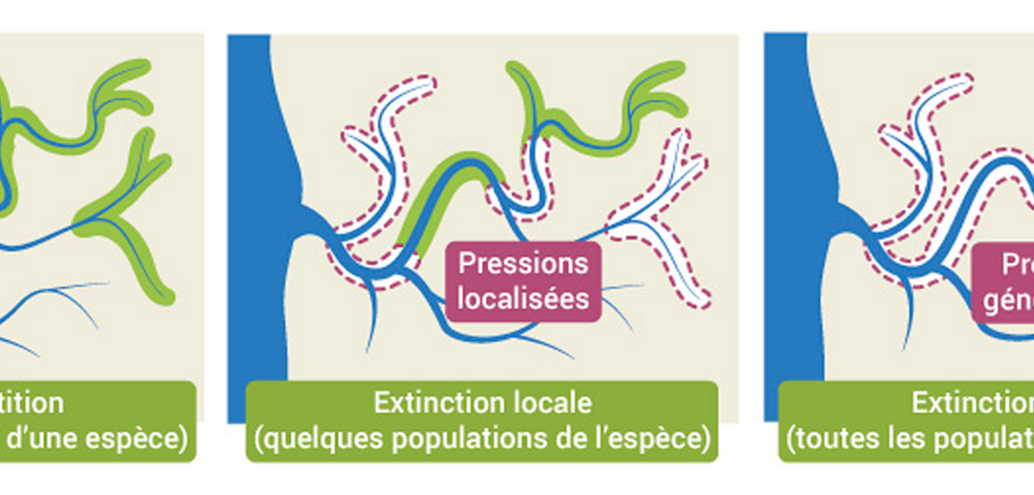 L'extinction d'une espèce