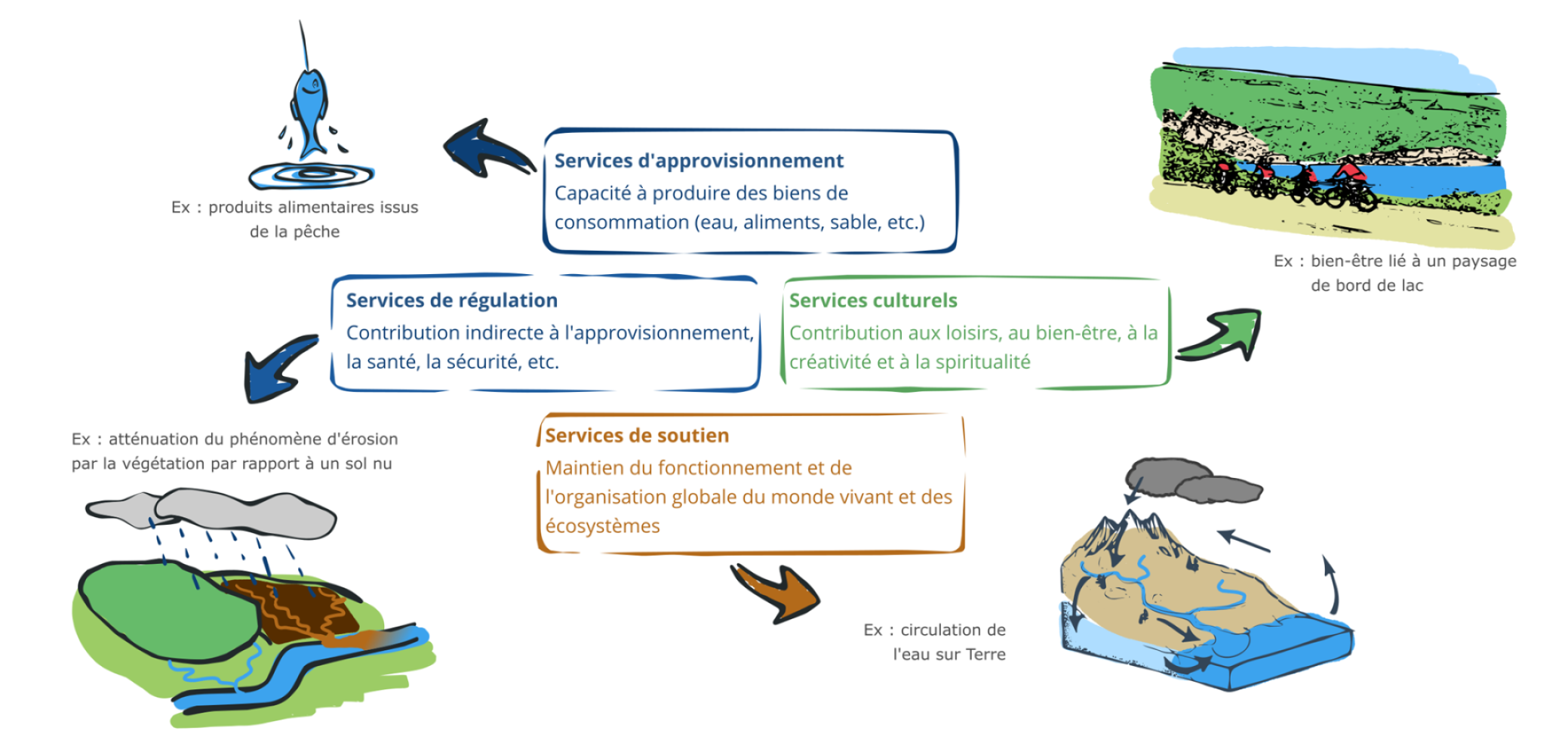 Les services écologiques ou écosystémiques : bénéfices issus de la biodiversité et des écosystèmes