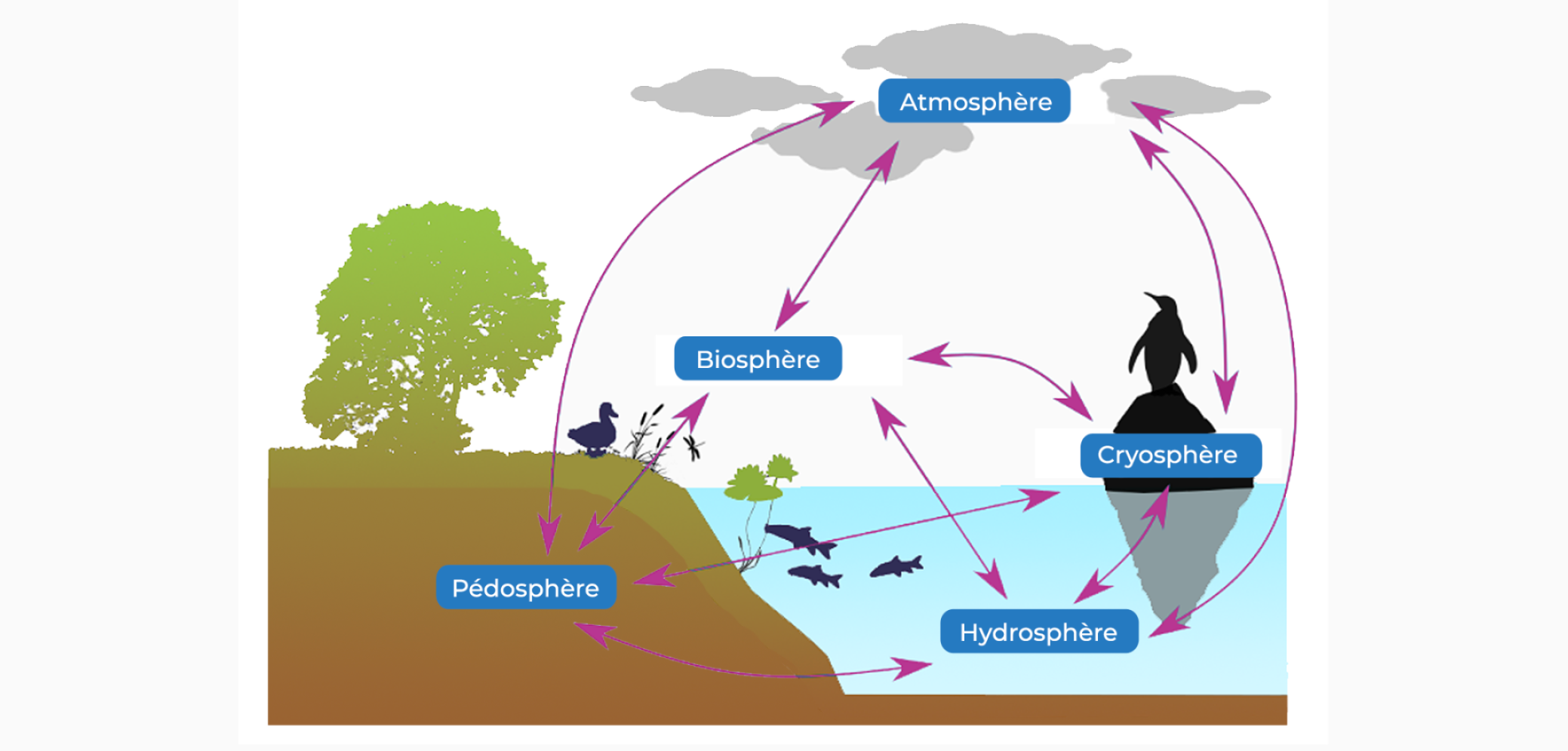 Les compartiments terrestres : atmosphère, pédosphère, hydrosphère, cryosphère et biosphère
