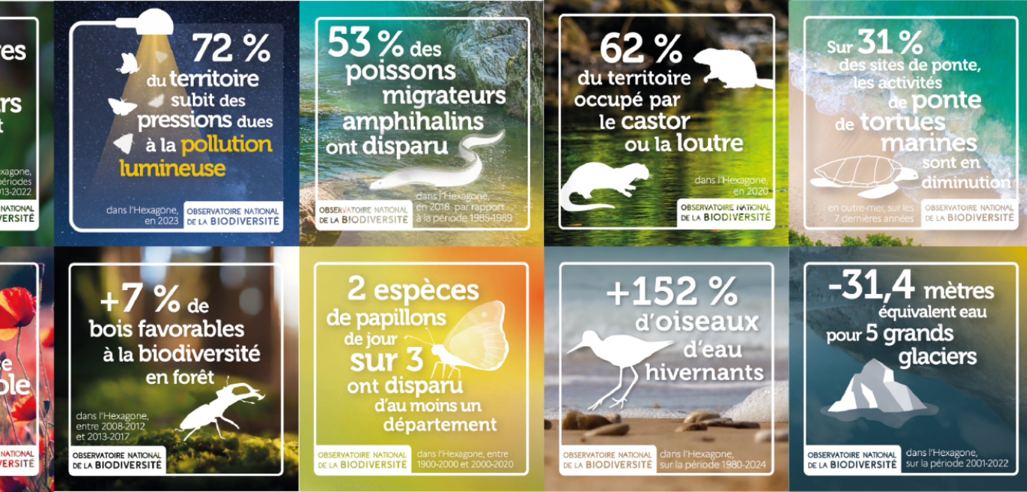 12 vignettes d'indicateurs ONB