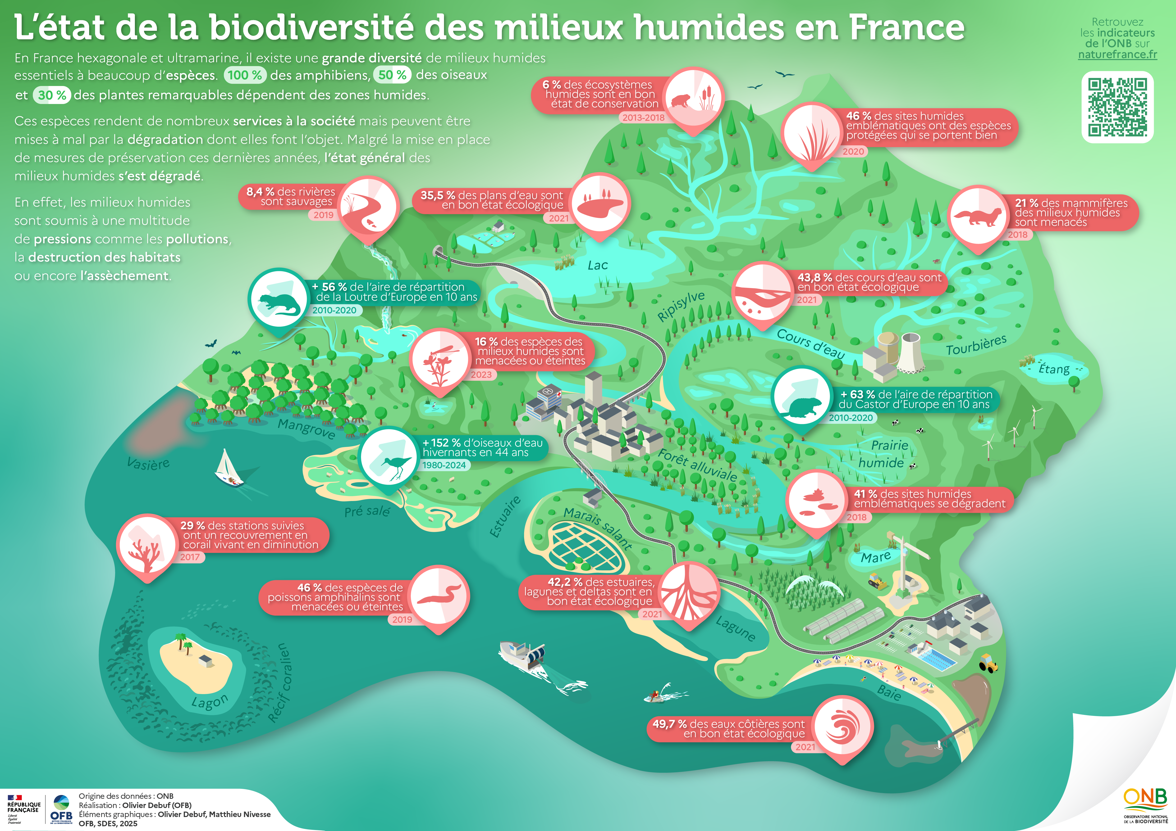 Poster Milieux humides avec des indicateurs de l'ONB