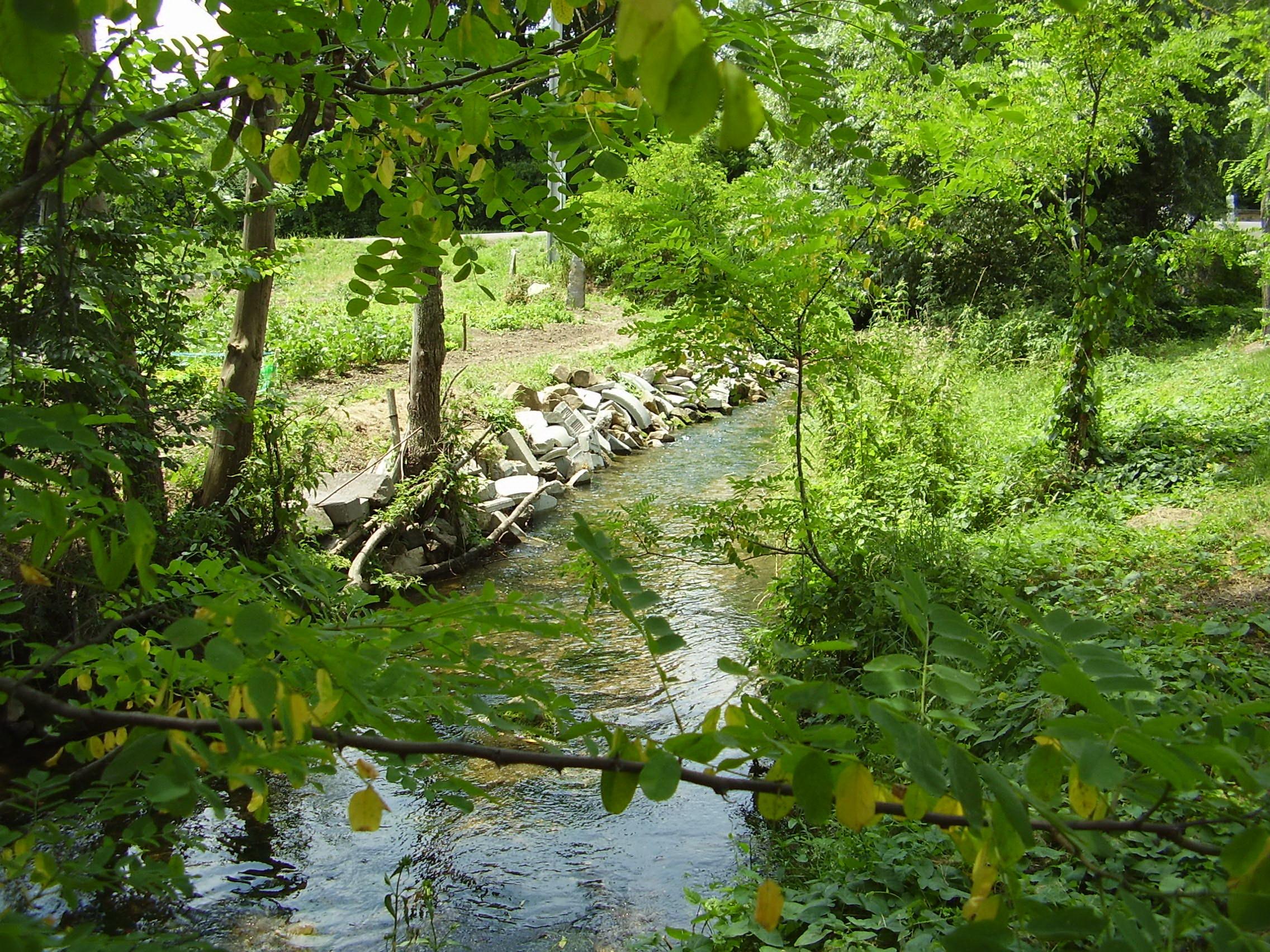 Berges aménagées d'un cours d'eau