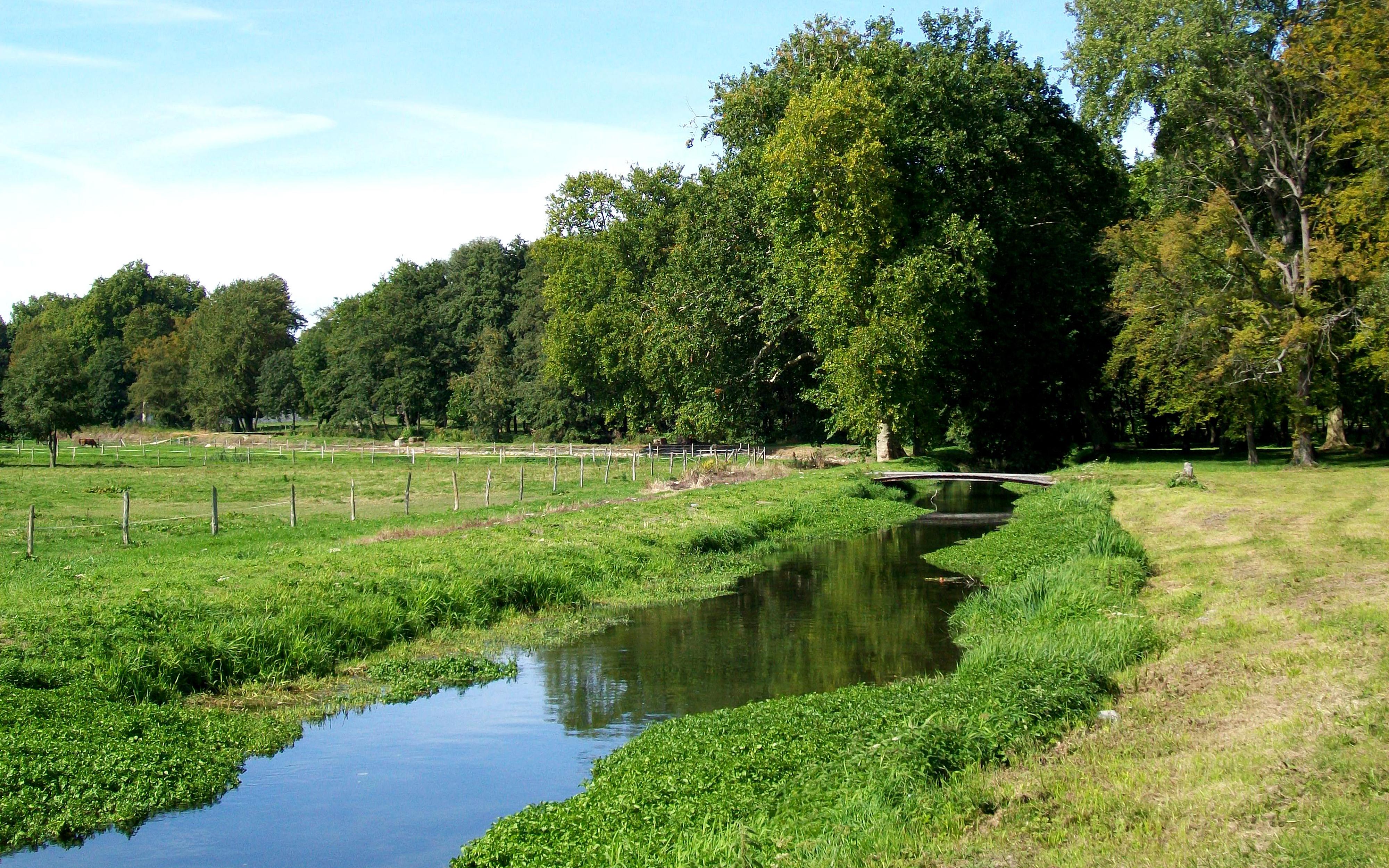 Rivière La Nonnette, Oise 