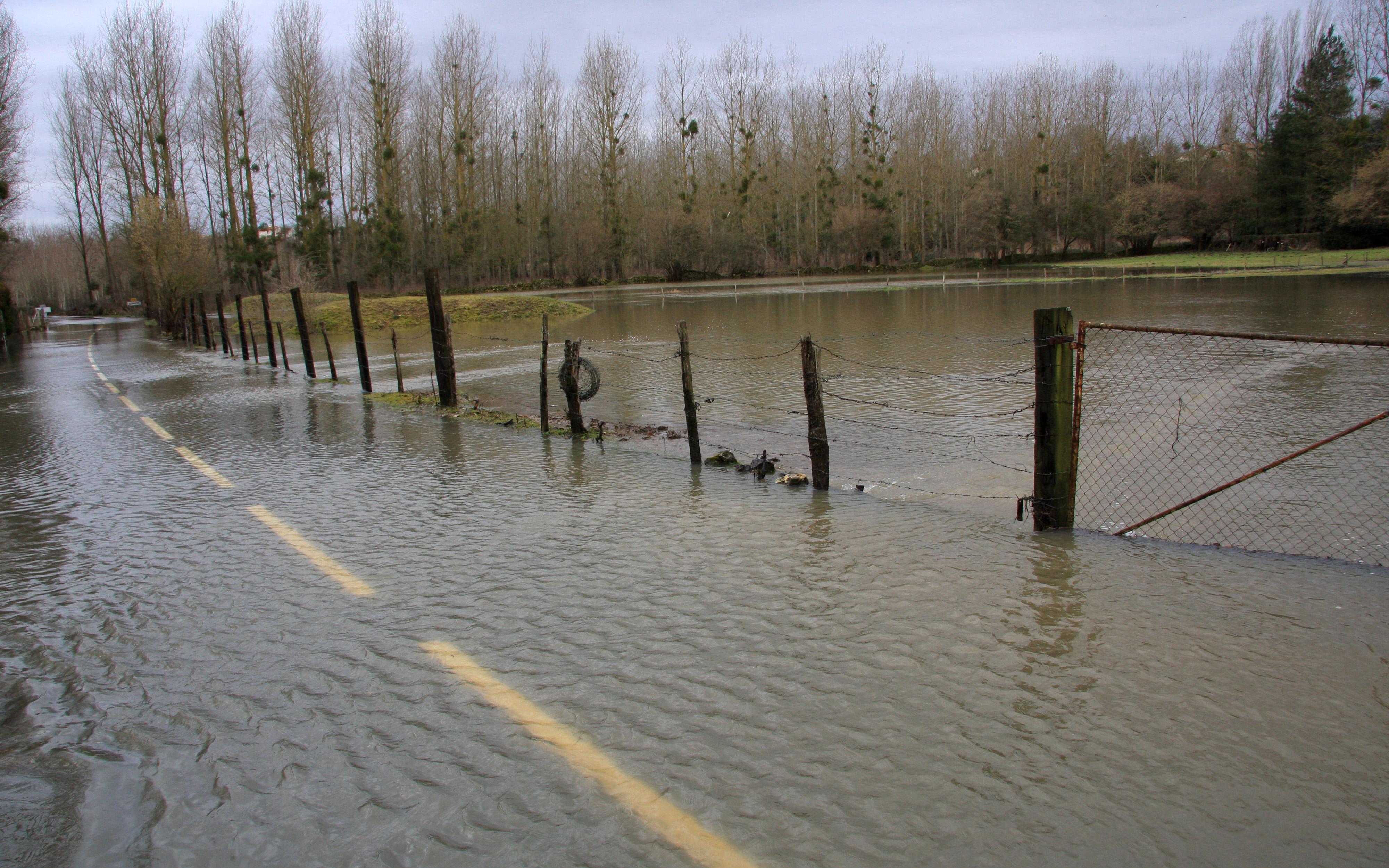 Route inondée, Vienne