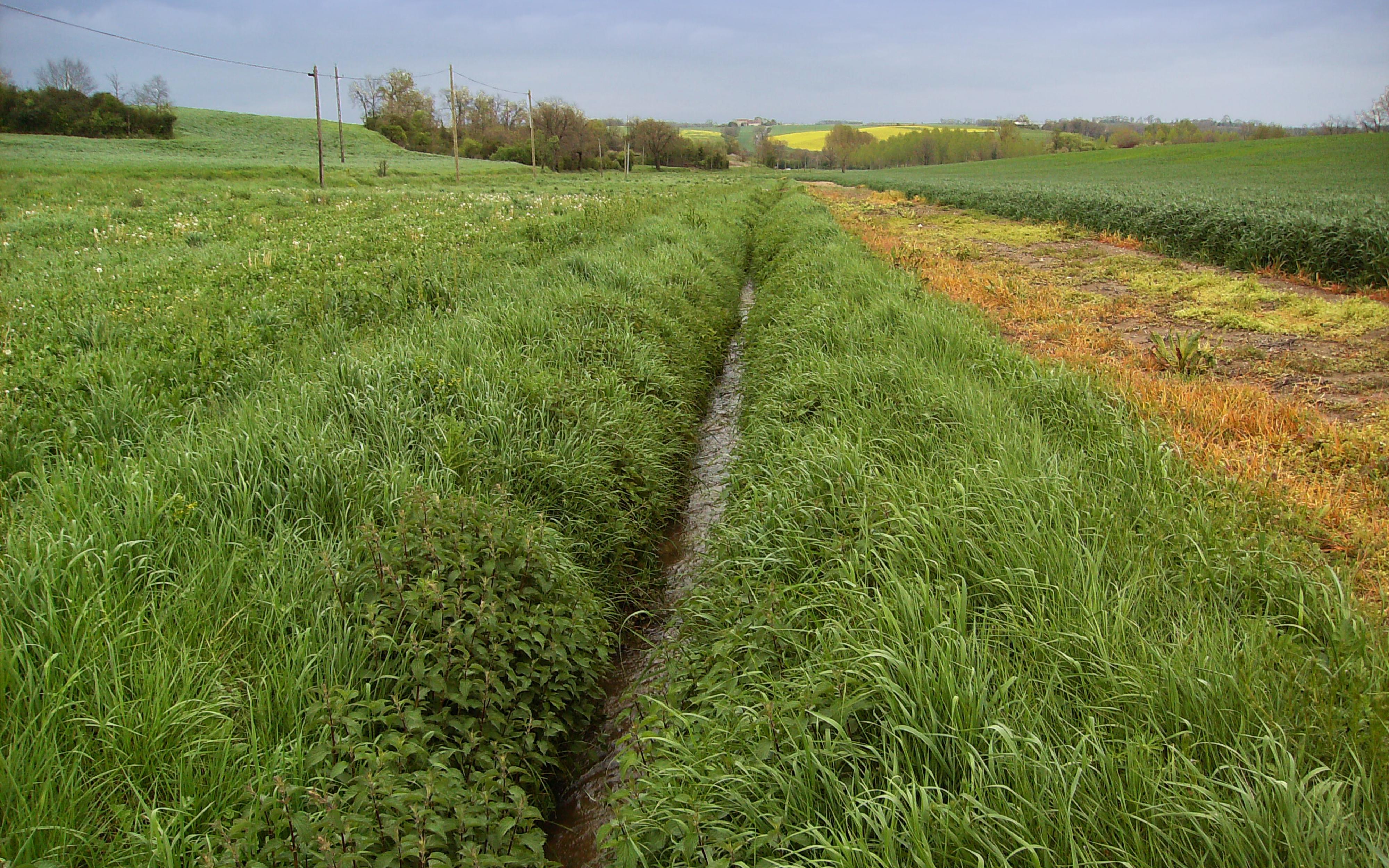 Bandes enherbées