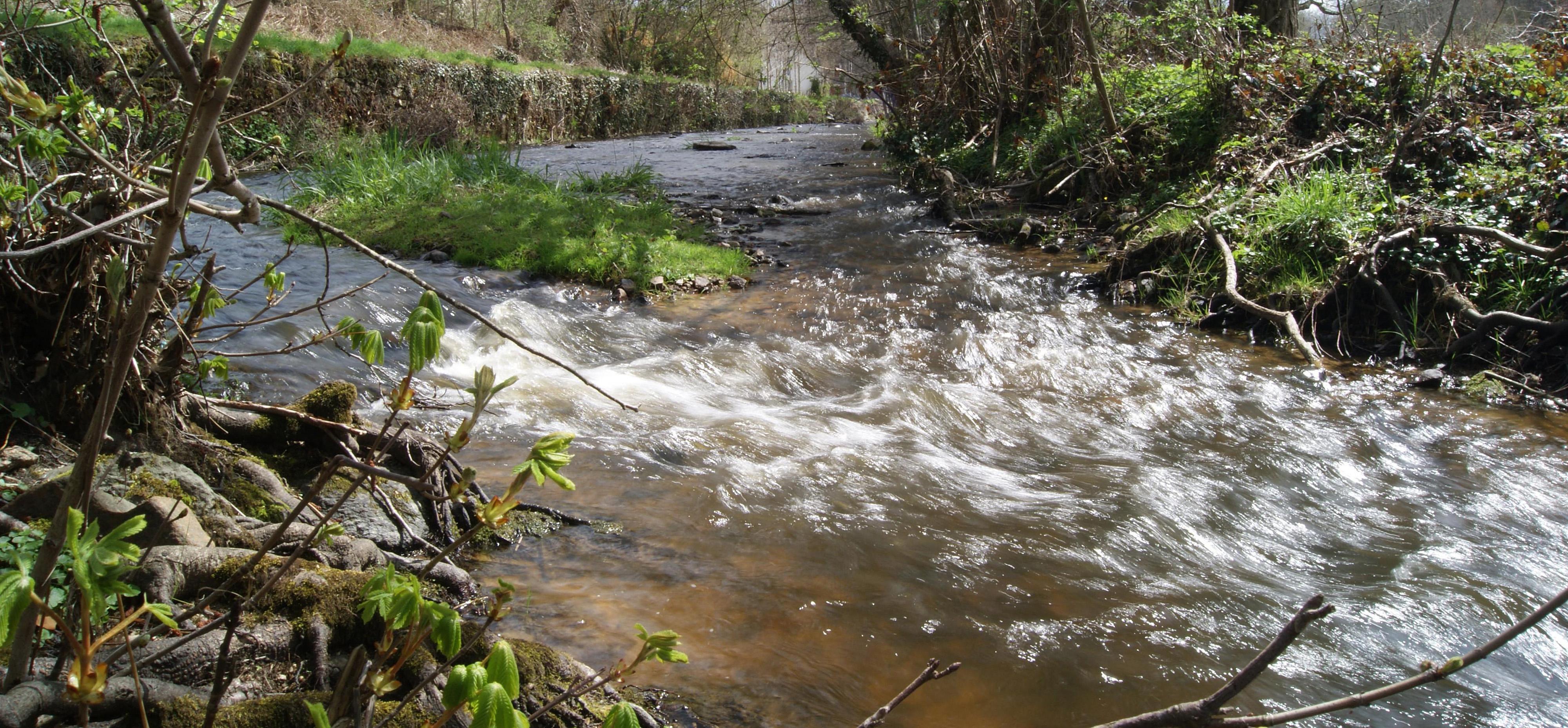 Écoulement de la rivière Brézentine OIEau