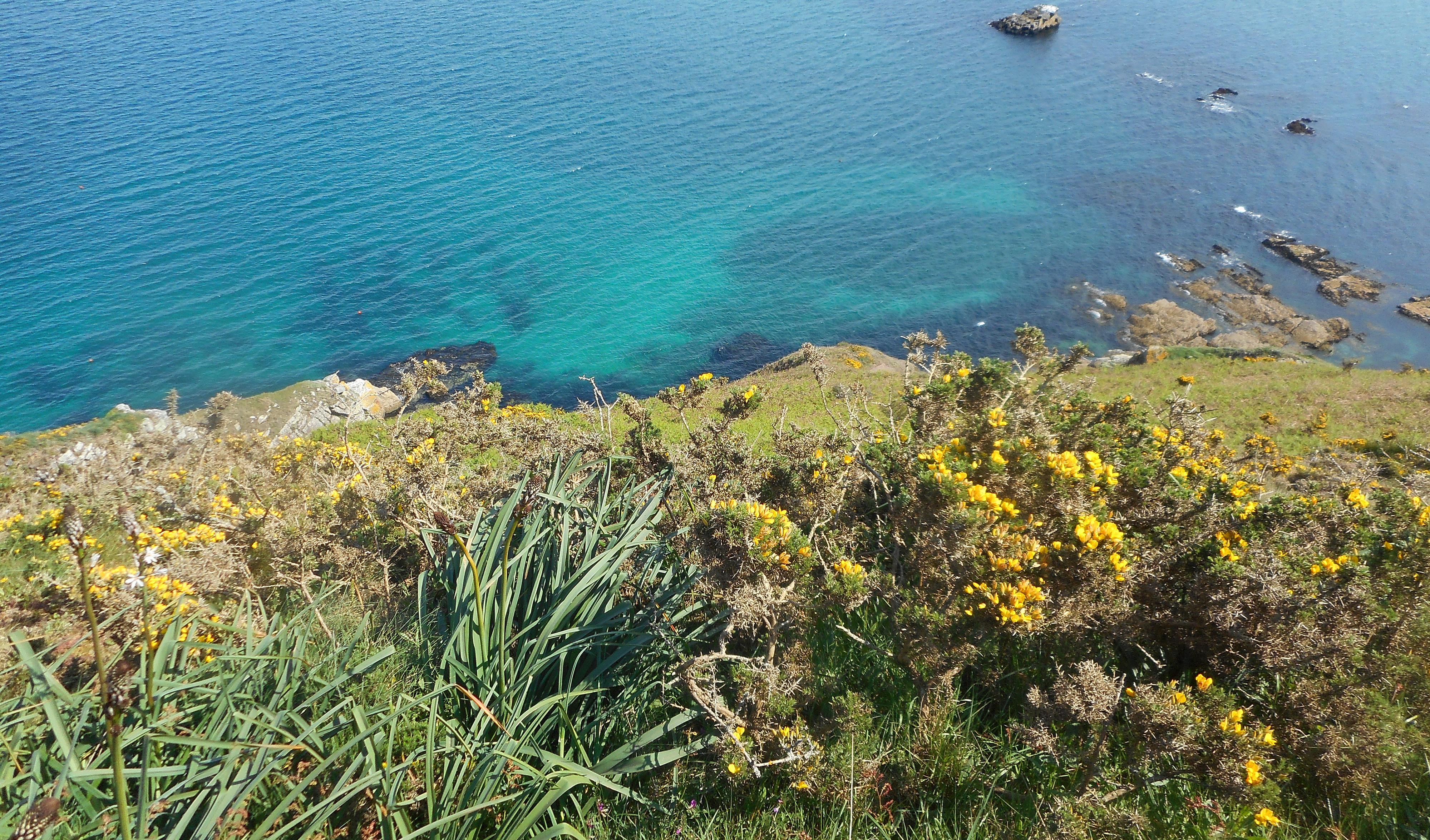 Littoral Cap de la Chèvre OIEau Littoral Cap de la Chèvre OIEau