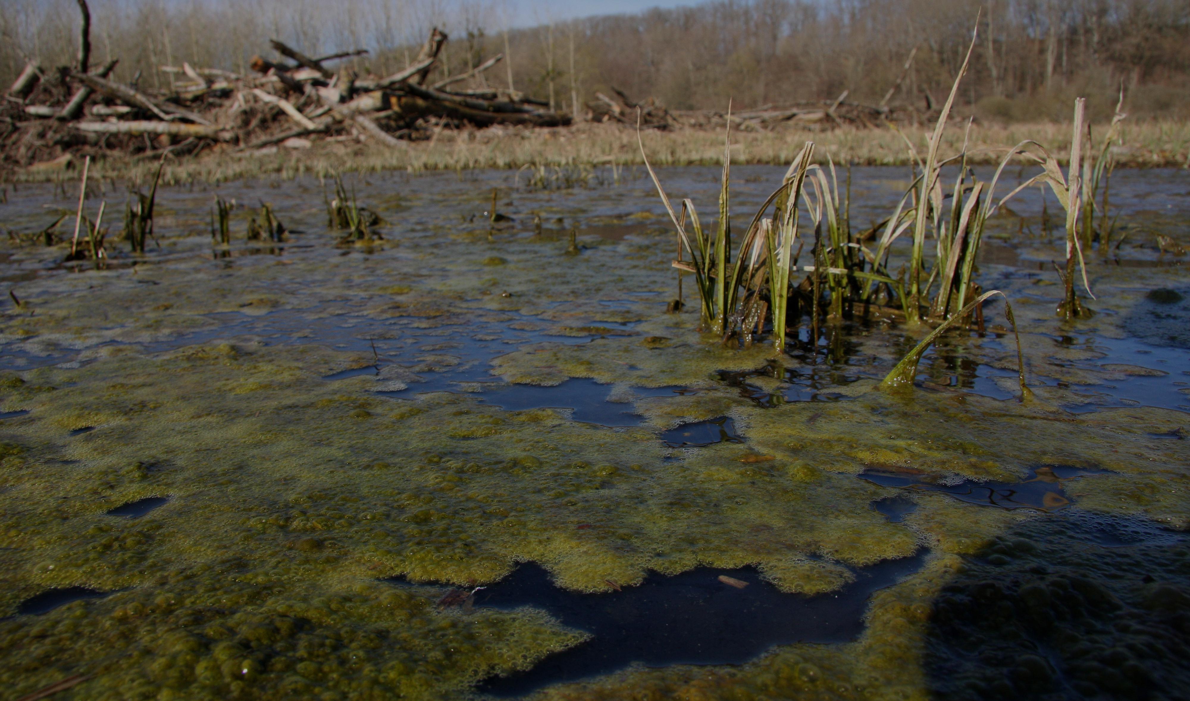 Les principales causes de dysfonctionnement d'une chasse d'eau et