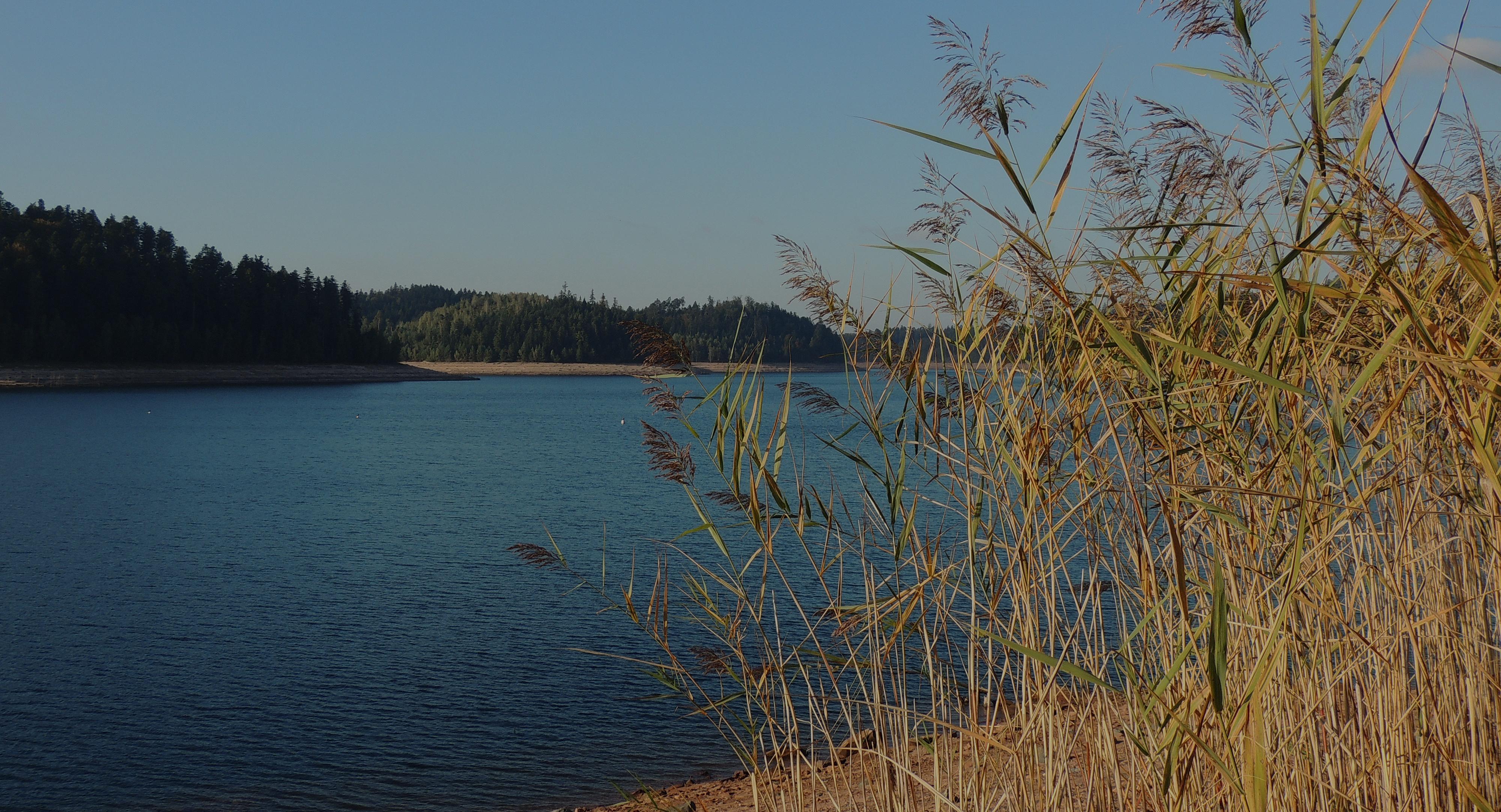 Lac de Celles-sur-plaine