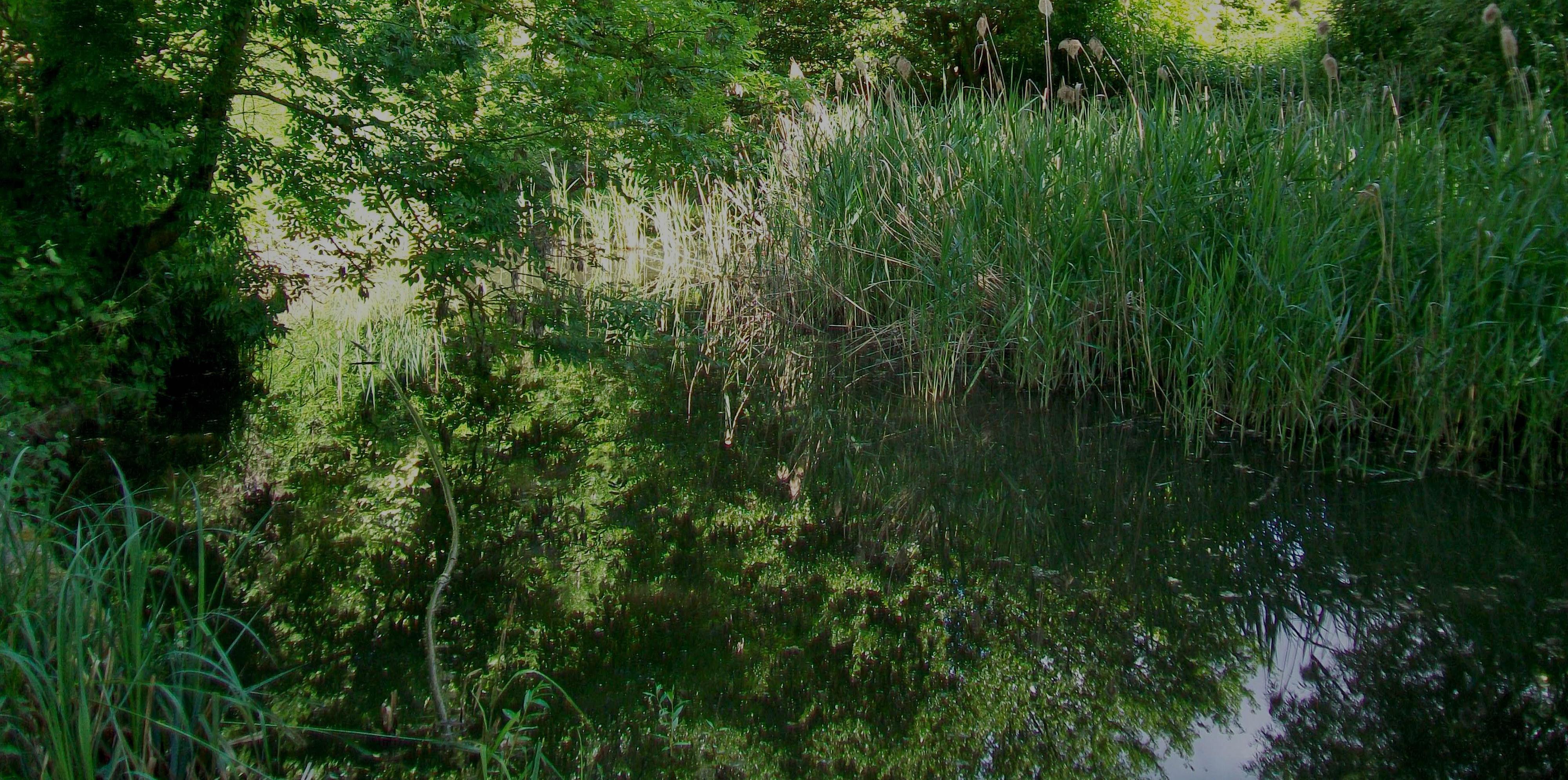 Mare des Nonnains, Luzarches