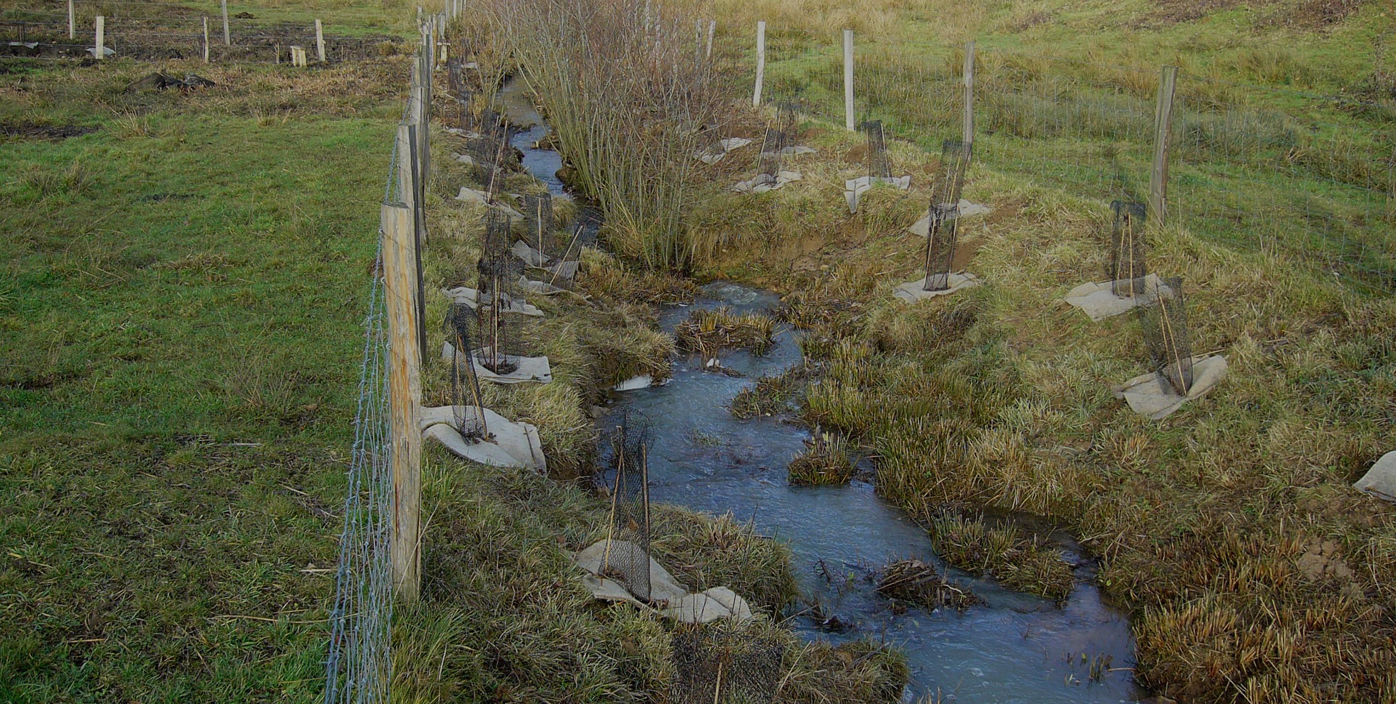 Restauration et protection des berges