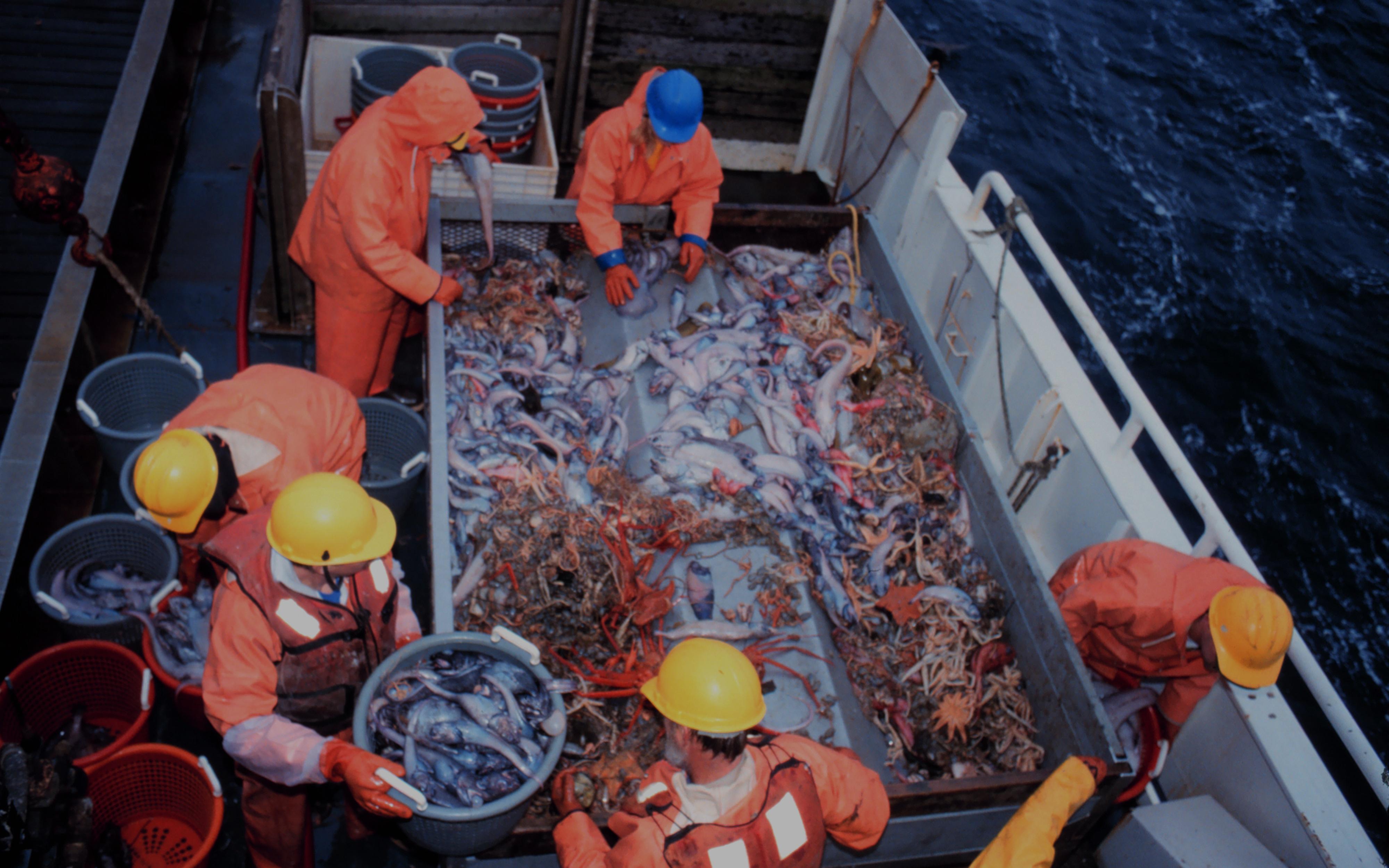 Champenoux  Pêche. La technologie au service de la pêche à la