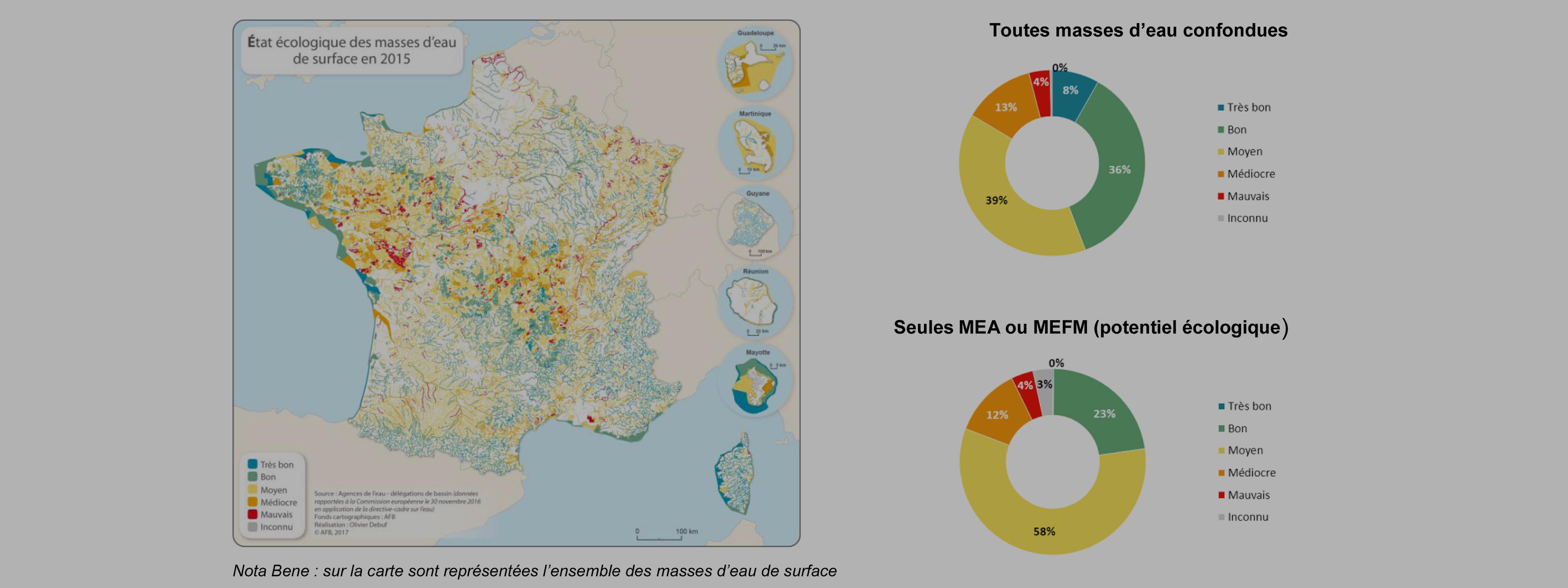44,2% des eaux surface en bon état écologique 44,2% des eaux surface en bon état écologique