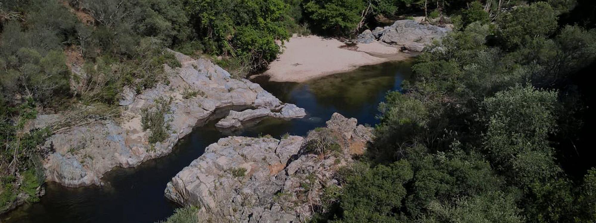 Riviere sauvage Cerema Patricia Detry Riviere sauvage Cerema Patricia Detry