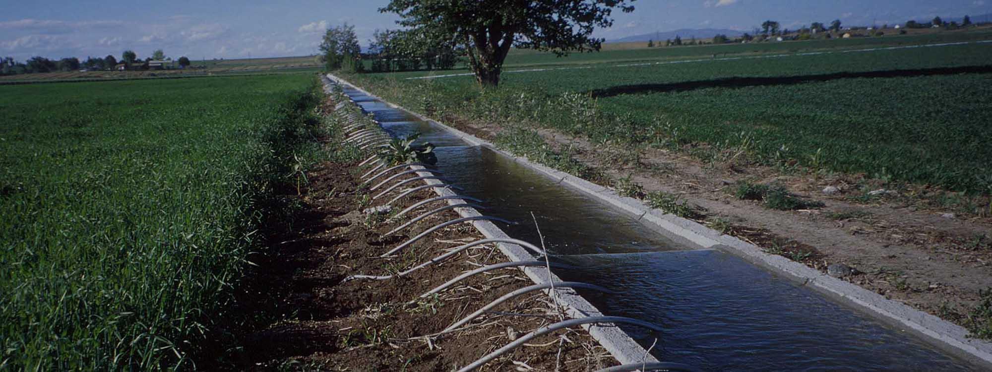 Système d’irrigation de surface utilisant des tubes à siphon, Wikimedia