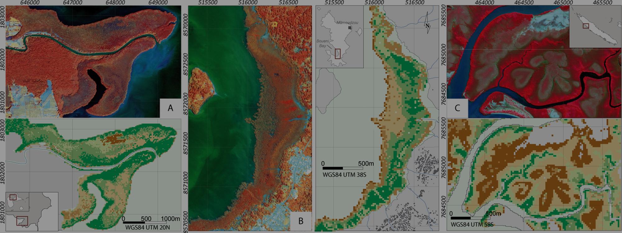 Cartographie de mangroves