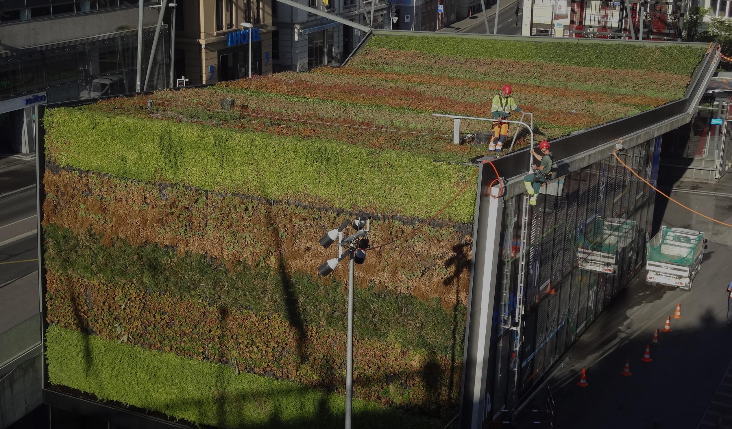 Toit végétalisé d'un immeuble à Lausanne