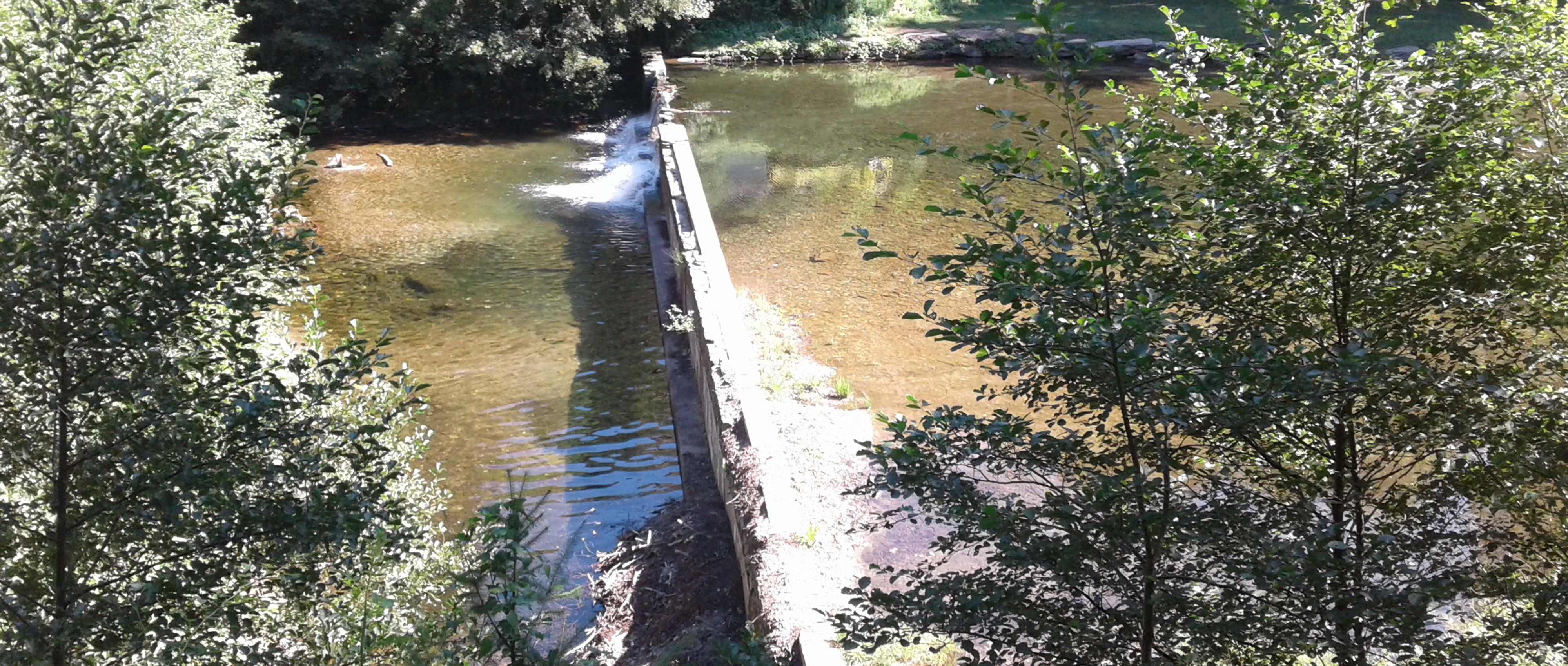 restauration de la continuite ecologique