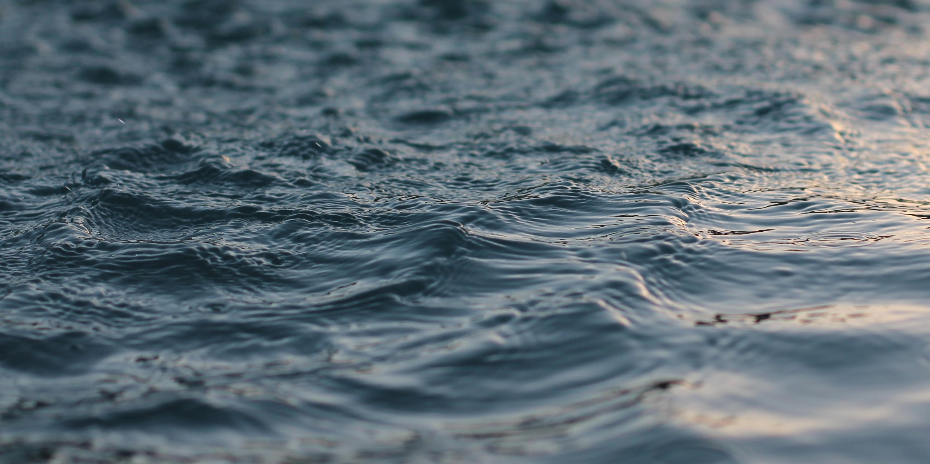 A la surface de l'eau A la surface de l'eau