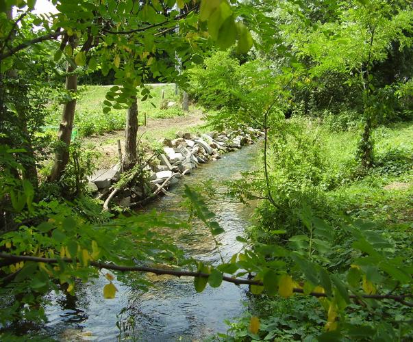 Berges aménagées d'un cours d'eau Berges aménagées d'un cours d'eau