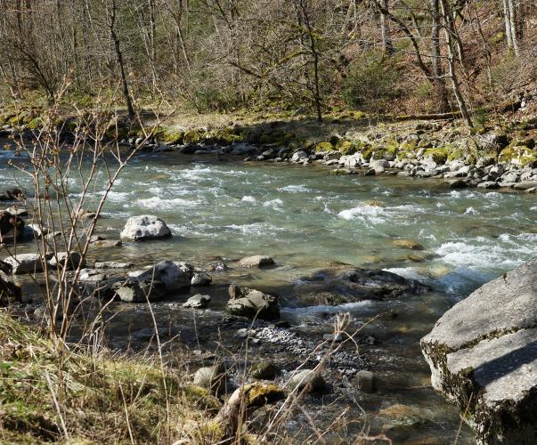 Étiage d'automne du Borne, Savoie Étiage d'automne du Borne, Savoie