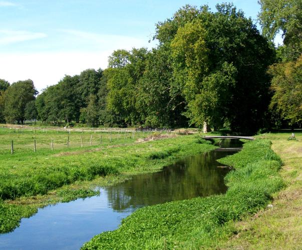 Rivière La Nonnette, Oise