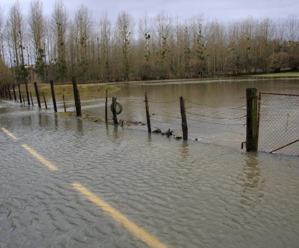 Route inondée, Vienne Route inondée, Vienne