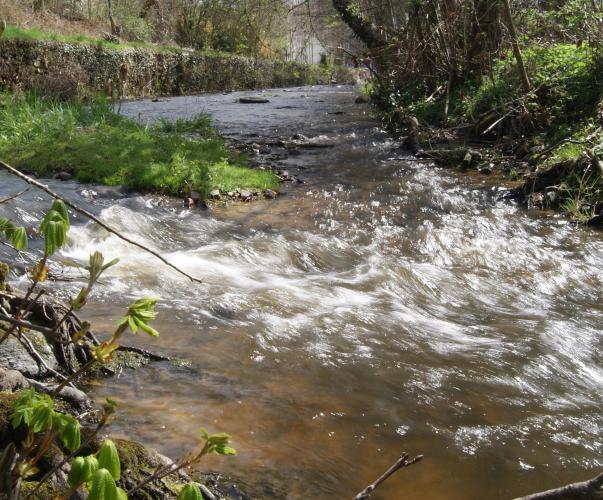 Écoulement de la rivière Brézentine OIEau Écoulement de la rivière Brézentine OIEau
