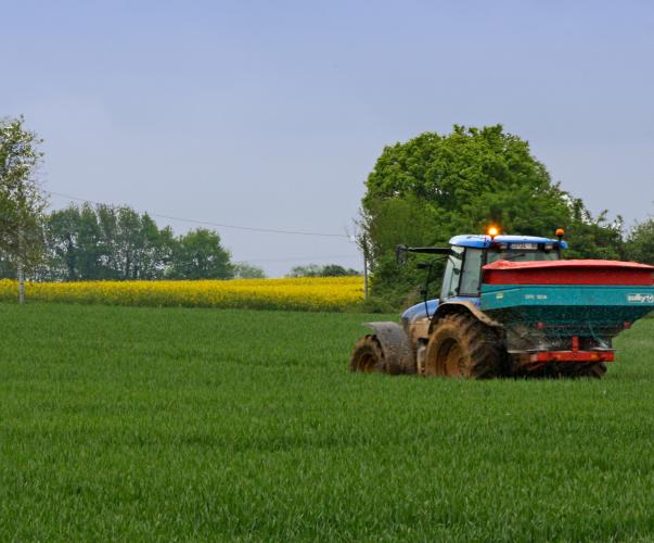 Épandage d'engrais sur un champ de blé, bassin versant Magnerolles, Deux Sèvres