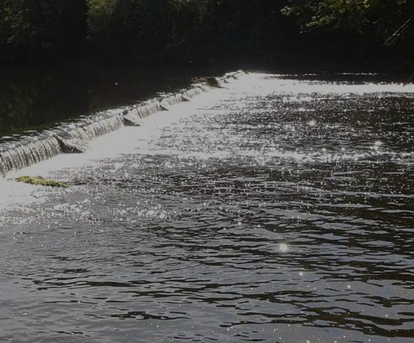 Le seuil Parry sur la Vienne © DDT 87