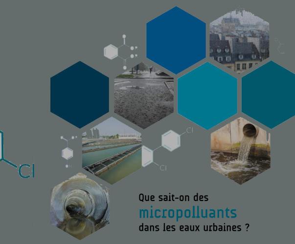 Que sait-on des micropolluants dans les eaux urbaines, Arceau / AFB Que sait-on des micropolluants dans les eaux urbaines, Arceau / AFB