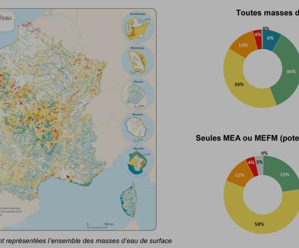 44,2% des eaux surface en bon état écologique