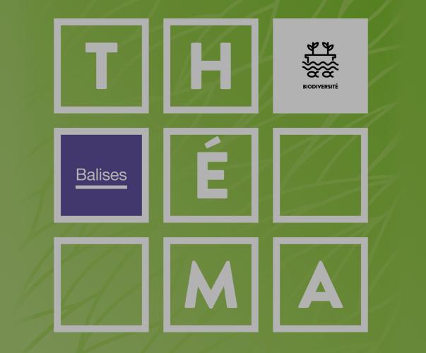 Thema Compensation écologique des cours d’eau. Exemples de méthodes de dimensionnement Thema Compensation écologique des cours d’eau. Exemples de méthodes de dimensionnement