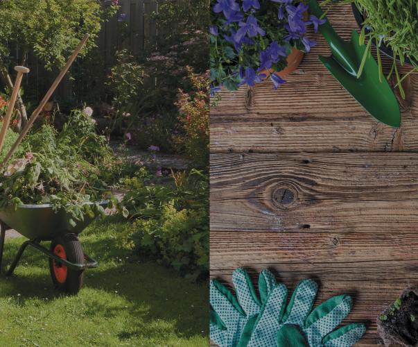 Zéro pesticide Zéro pesticide