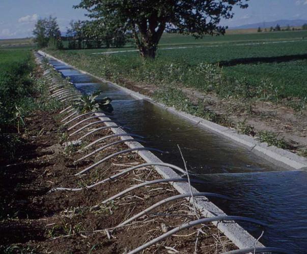 Système d’irrigation de surface utilisant des tubes à siphon, Wikimedia Système d’irrigation de surface utilisant des tubes à siphon, Wikimedia