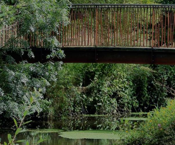 Guide Gemapi et paysage : le végétal au service de la gestion des milieux aquatiques