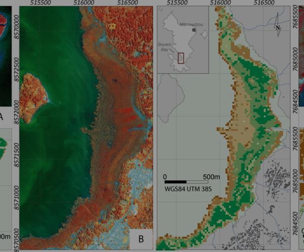 Cartographie de mangroves Cartographie de mangroves