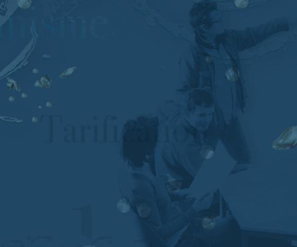 La prévision à moyen et long terme de la demande en eau potable : bilan des méthodes et pratiques actuelles La prévision à moyen et long terme de la demande en eau potable : bilan des méthodes et pratiques actuelles