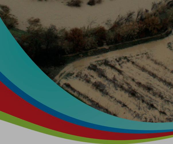 Diagnostic des programmes d’actions de prévention des inondations (PAPI) à l'échelle du territoire Arc méditerranéen Diagnostic des programmes d’actions de prévention des inondations (PAPI) à l'échelle du territoire Arc méditerranéen