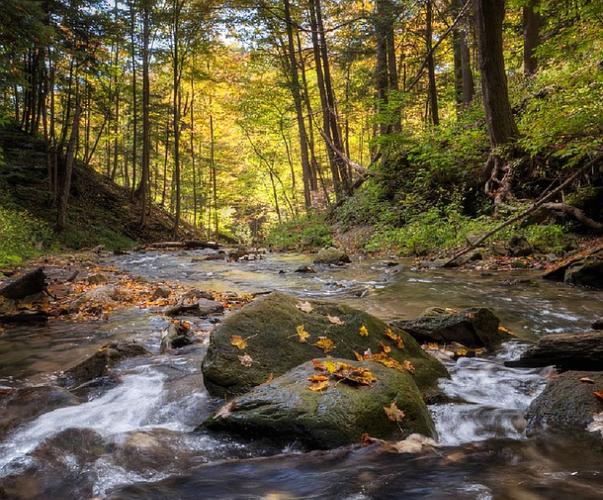 indicateur aquatique biodiversite indicateur aquatique biodiversite