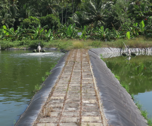 Visite d'une station d'épuration