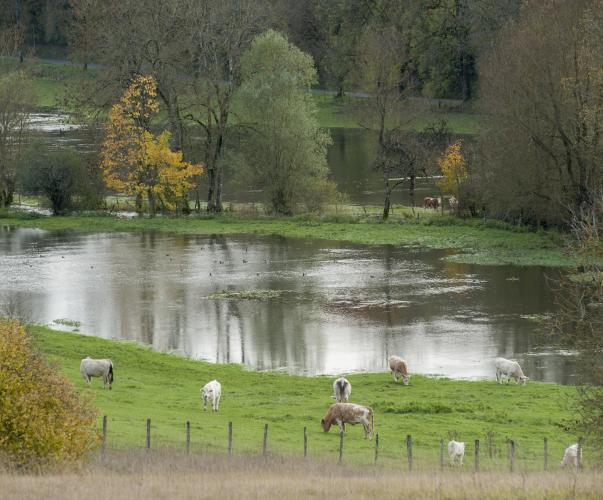 Crue de la Suize Crue de la Suize