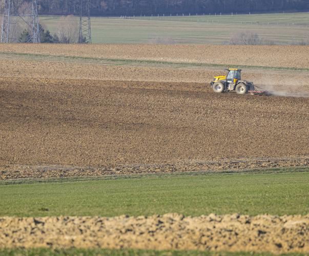Préparation du sol avant semis